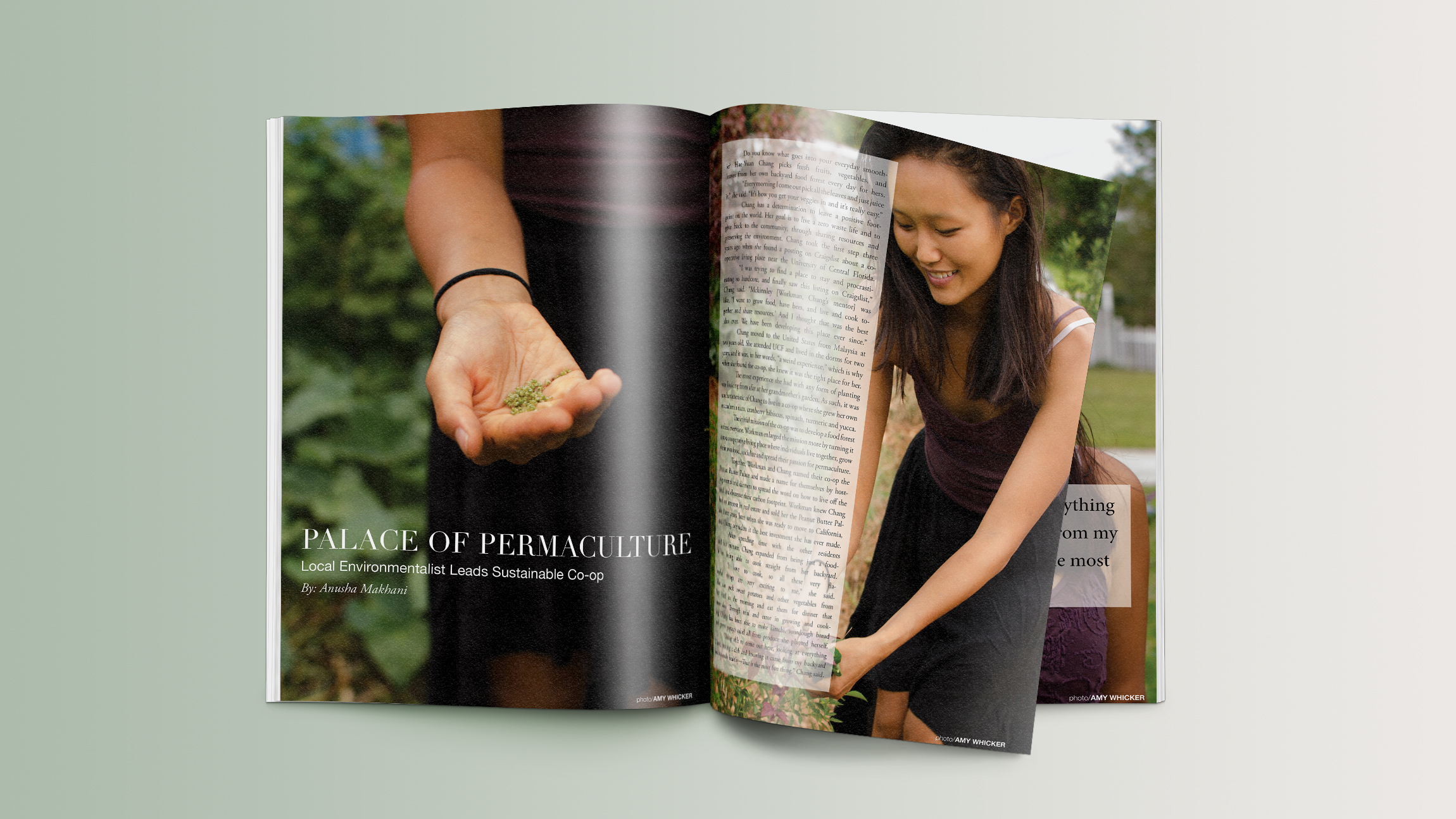issue11_01