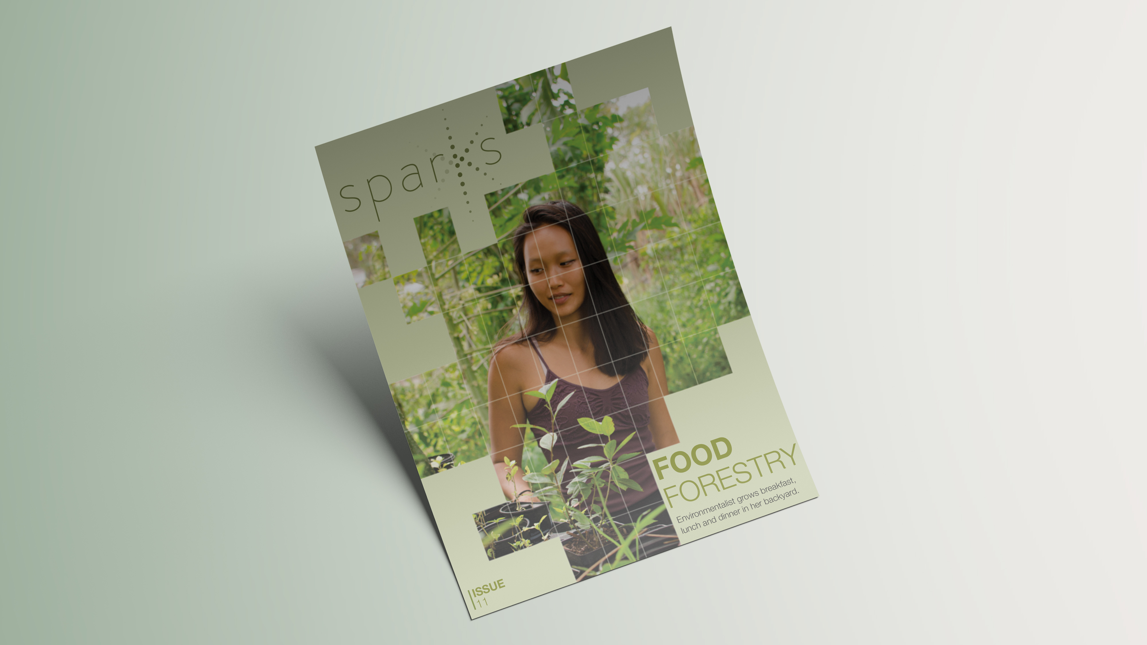 issue11_02