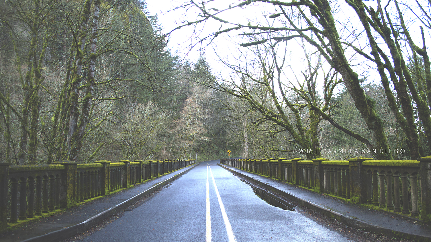 portland5_2