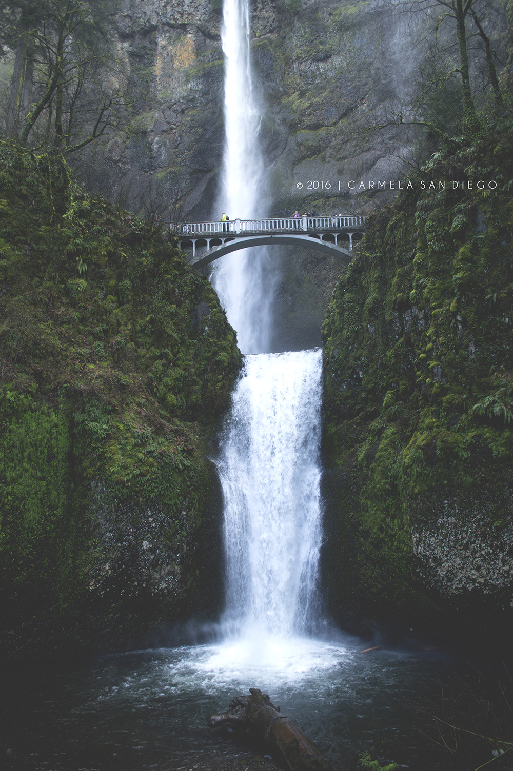 portland7_2
