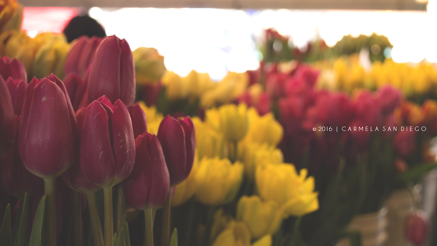 seattle7_2