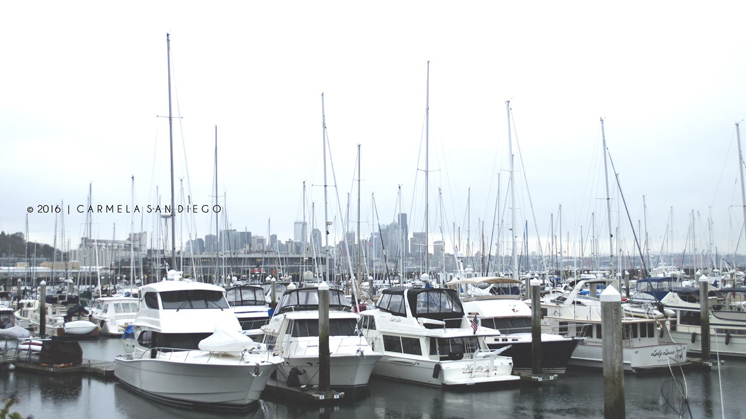 seattle8_2