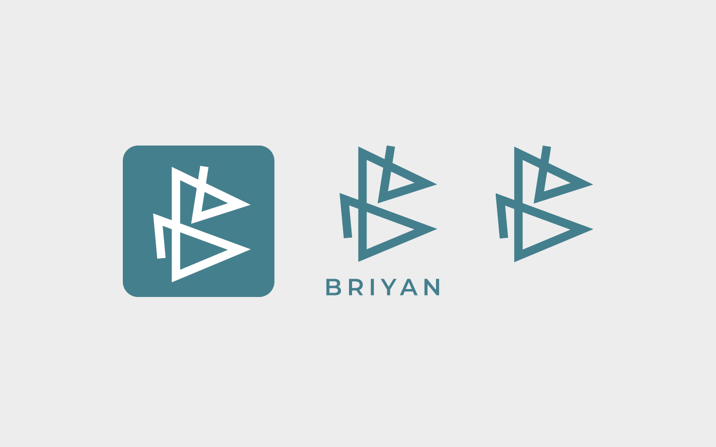 briyan-logo-group (1)