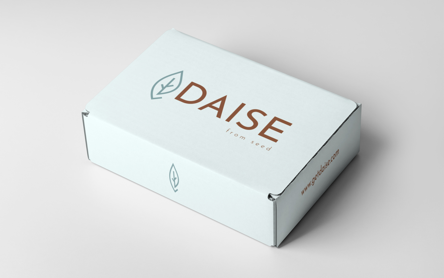 daise-logo-mockup
